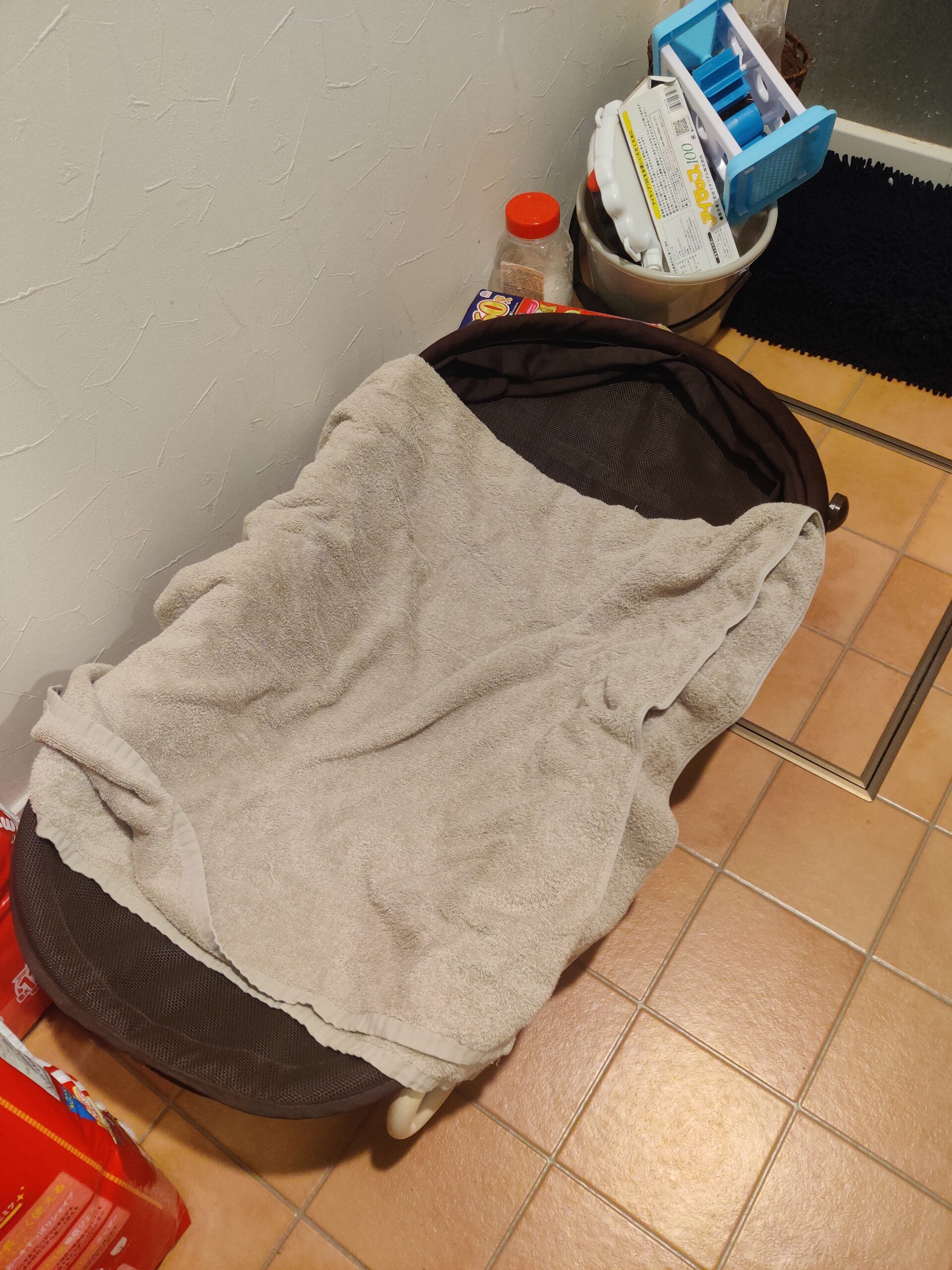 脱衣所でのバウンサー使用例