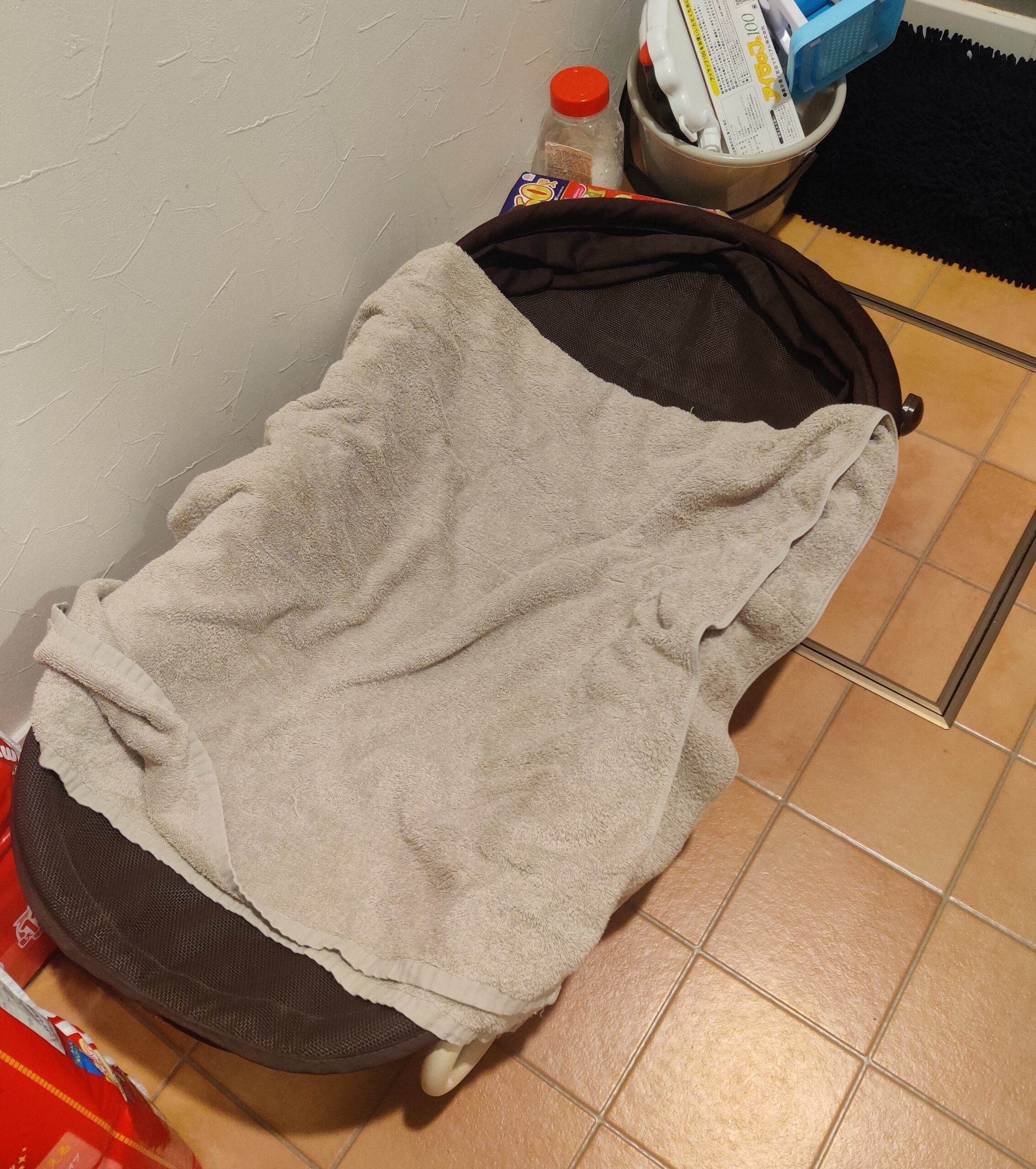 お風呂上がりに使うメッシュバウンサー